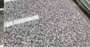 淮安 芙蓉白光面