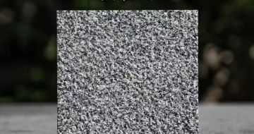 淮安 芝麻黑荔枝面