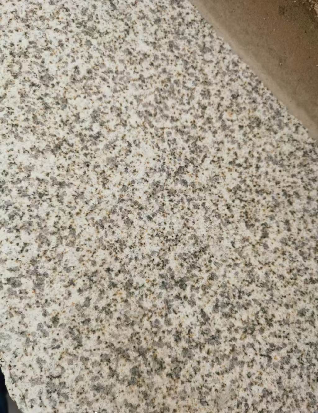 淮安 黄金麻中黄光面