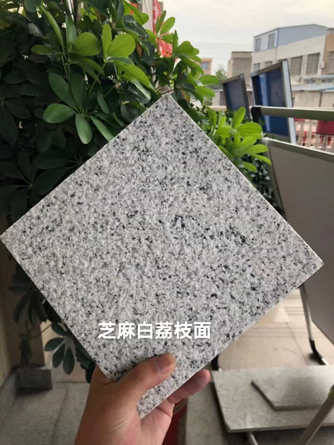 淮安 芝麻白荔枝面干挂